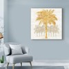 Trademark Fine Art Sue Schlabach 'Palm Coast Ii' Canvas Art, 24x24 WAP08154-C2424GG